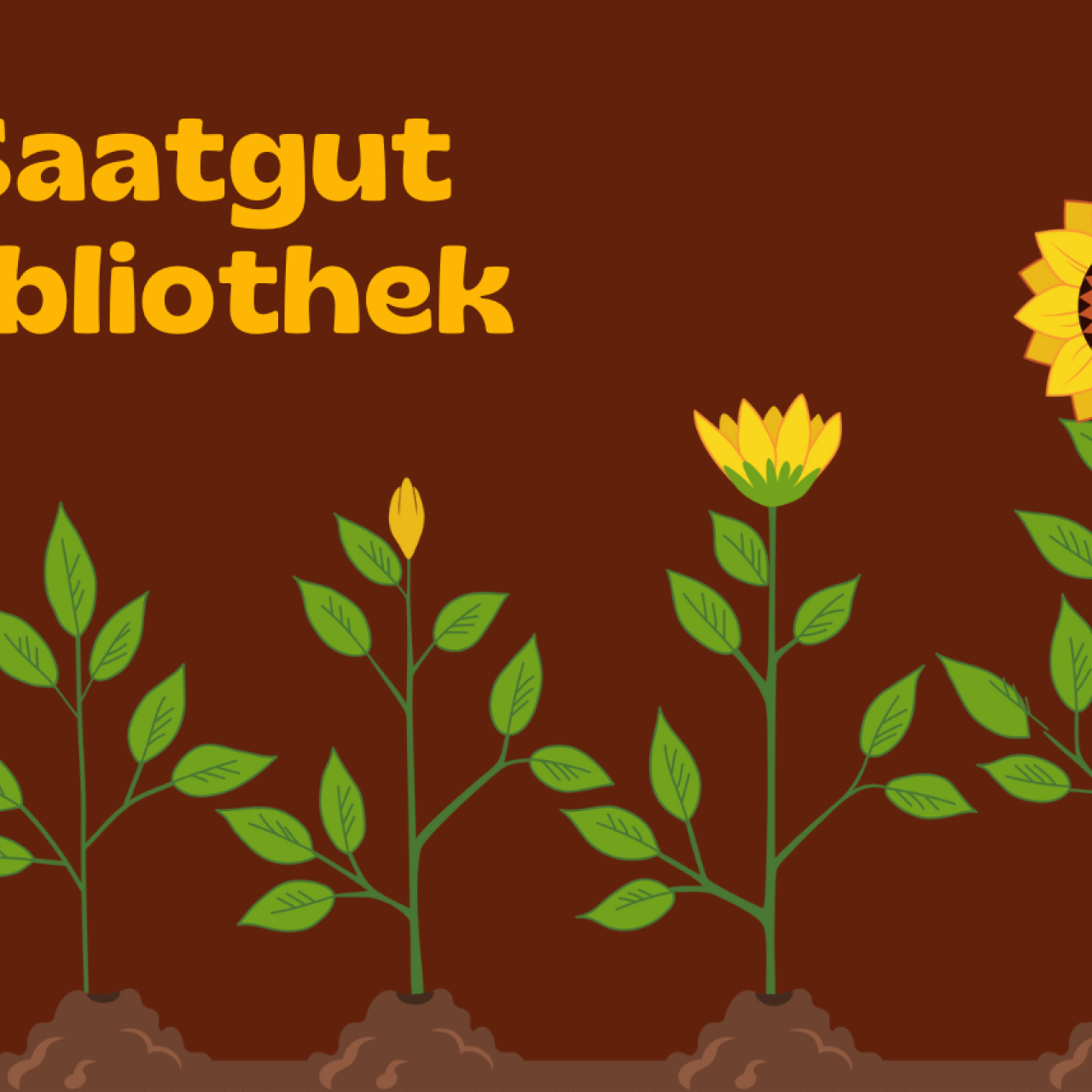 Saatgut