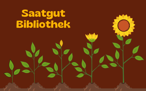 Saatgut